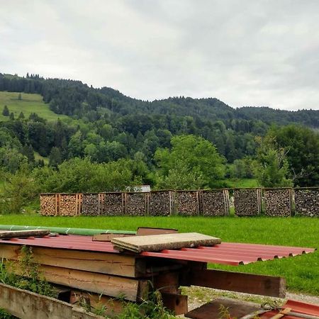 Ferienwohnung Konstanzer Sonne Oberstaufen Bagian luar foto